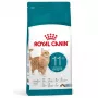 Royal Canin Ageing 11+ suché krmivo pre mačky 2 kg