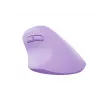 NATEC Crake 2 myš univerzálna pravácka RF Wireless + Bluetooth optická 2400 DPI