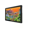 Grafický tablet Huion Kamvas 22 Plus