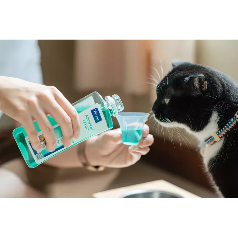 Ústna hygienická voda VIRBAC Aquadent 500 ml pre domáce zvieratá