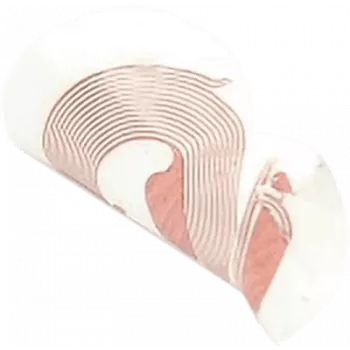 NFC nálepka SCOT NTAG213 18 mm biela, RFID tag, balenie 10 ks