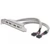 Slotový kábel USB 2.0 HighSpeed Type 2xIDC (5pin)/4xUSB A M/F sivý 0,25 m