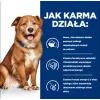 HILL'S Prescription Diet Derm Complete - suché krmivo pre psov - 1,5kg