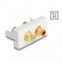 DeLOCK Easy 45 zásuvka 2 x RCA biela ABS