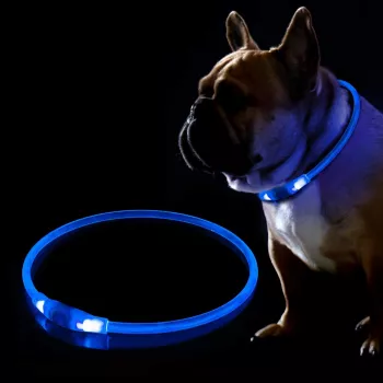 LED obojok KABB modrý pre psy a mačky – nabíjateľný, nastaviteľný bezpečnostný obojok s osvetlením