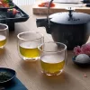 ZWILLING 39500-077-0 čajové sklo, transparentné, 2 ks, 240 ml