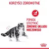 Royal Canin Urinary Care suché krmivo pre mačky 4 kg