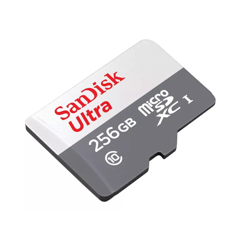 Flash pamäť SanDisk 256 GB MicroSDXC UHS-I SDSQUNR-256G-GN6TA