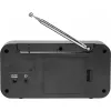 Inter Sales DENVER DAB-42 - prenosné DAB rádio - 1 watt