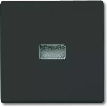 BUSCH JAEGER 2107-35 - čierna - Busch-Jaeger - 70 mm - 70 mm - 1,3 cm - 1 kus