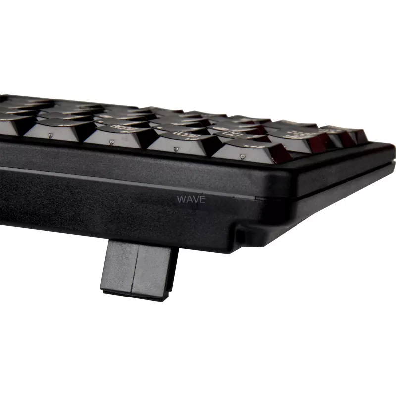 CHERRY G84-4100 klávesnica univerzálna USB QWERTZ nemecká čierna