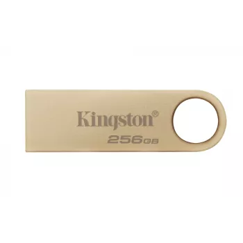 Kingston Technology DataTraveler 256 GB 220 MB/s kovový USB 3.2 Gen 1 SE9 G3