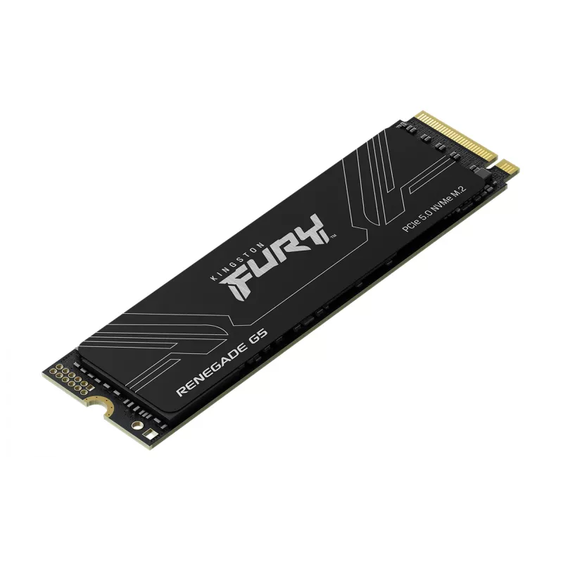 SSD disk Kingston Technology 1 TB M.2 NVMe FURY RENEGADE G5