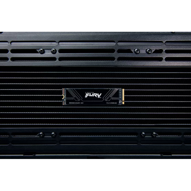 SSD disk Kingston Technology 1 TB M.2 NVMe FURY RENEGADE G5