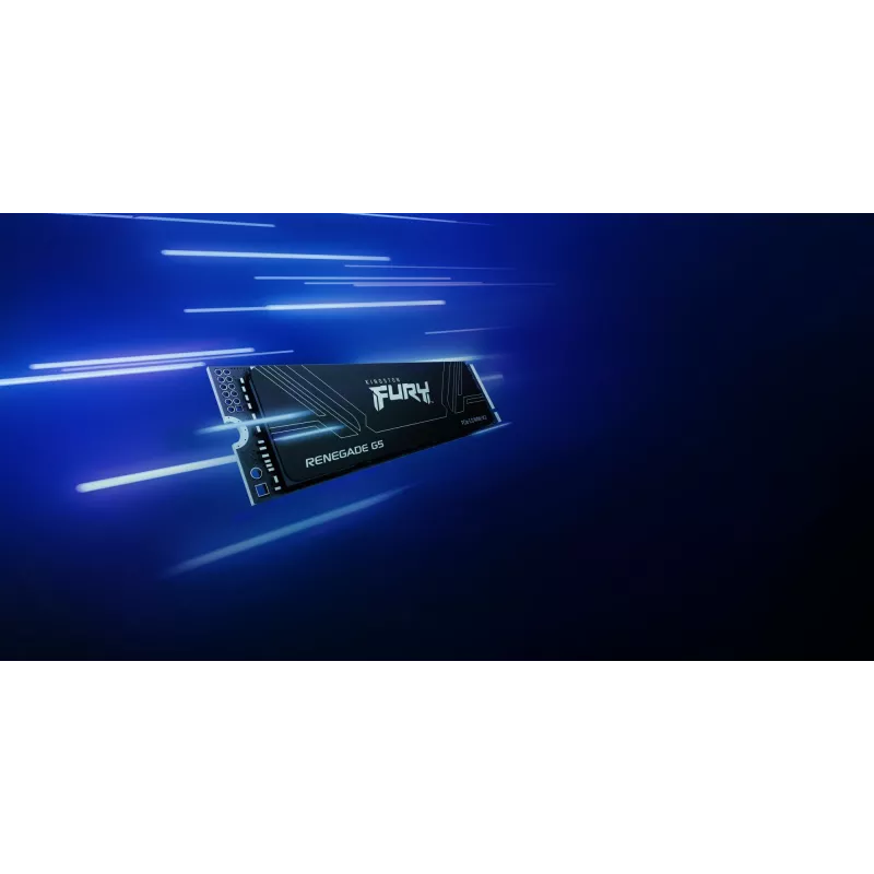 SSD disk Kingston Technology 1 TB M.2 NVMe FURY RENEGADE G5