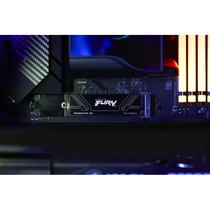 SSD disk Kingston Technology 1 TB M.2 NVMe FURY RENEGADE G5