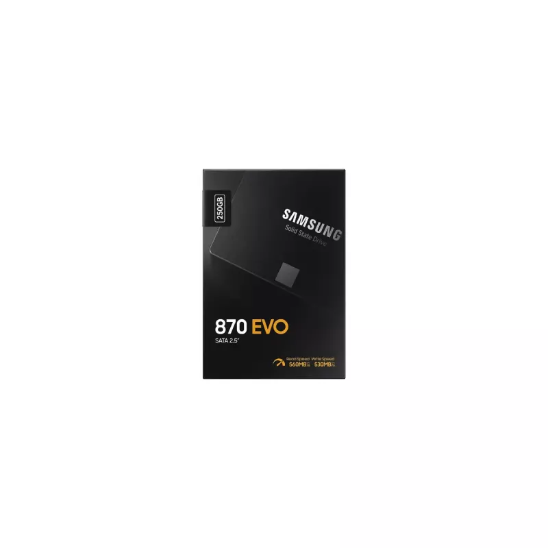 SSD disk Samsung 870 EVO 250 GB 2,5 palca Serial ATA III V-NAND