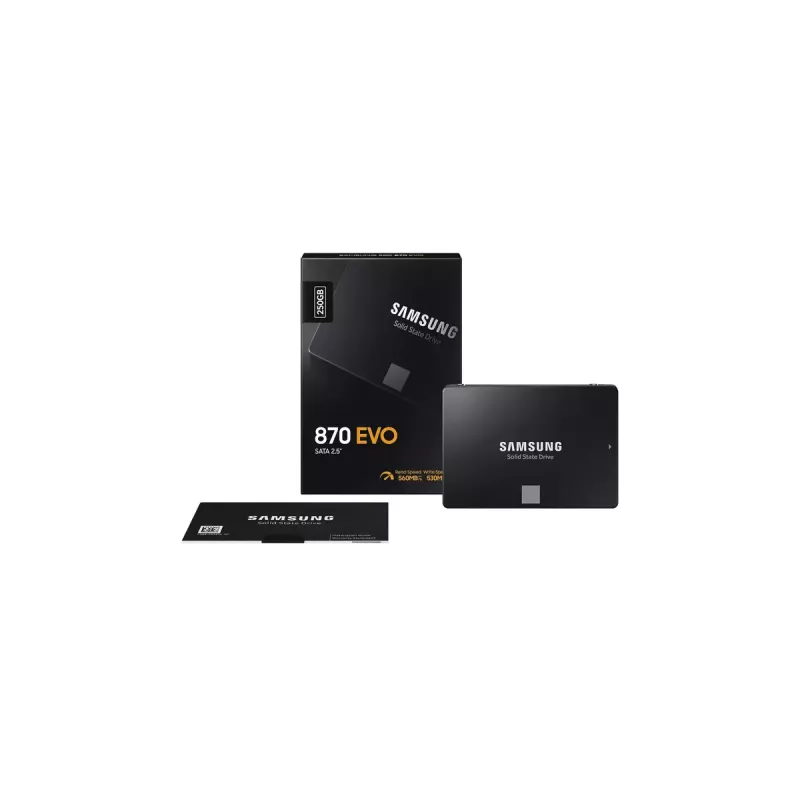 SSD disk Samsung 870 EVO 250 GB 2,5 palca Serial ATA III V-NAND