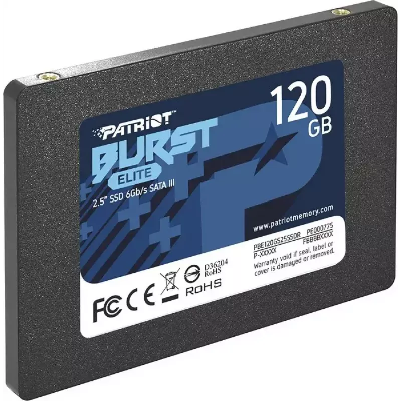 SSD disk 120 GB Burst Elite 450/320 MB/s SATA III 2.5