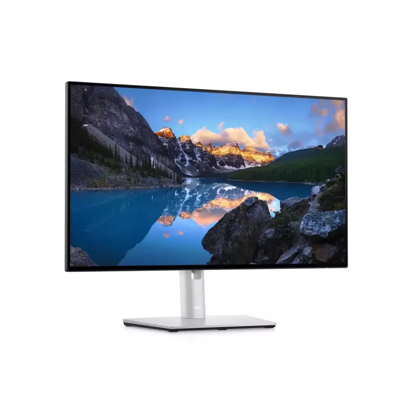 Monitor DELL UltraSharp 24 U2422H 23,8 palca Full HD LCD 1920x1080