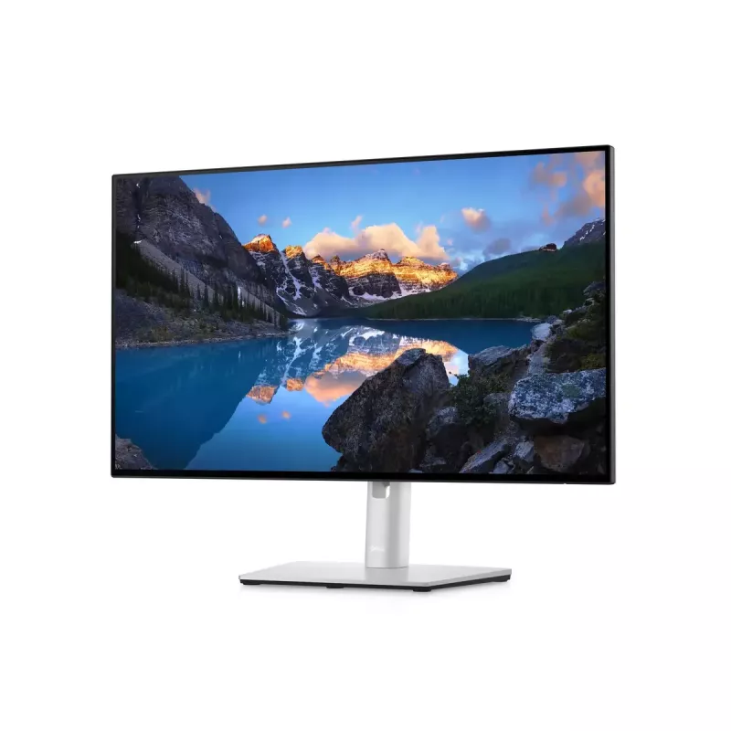 Monitor DELL UltraSharp 24 U2422H 23,8 palca Full HD LCD 1920x1080