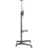 Goobay TV Presentation Stand Pro Size L 50 kg 37 to 70 palcov