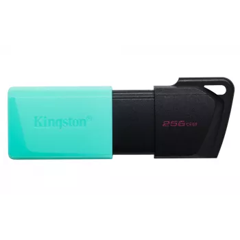 Kingston Technology DataTraveler 256GB USB3.2 Gen1 Exodia M (čierna + tyrkysová)