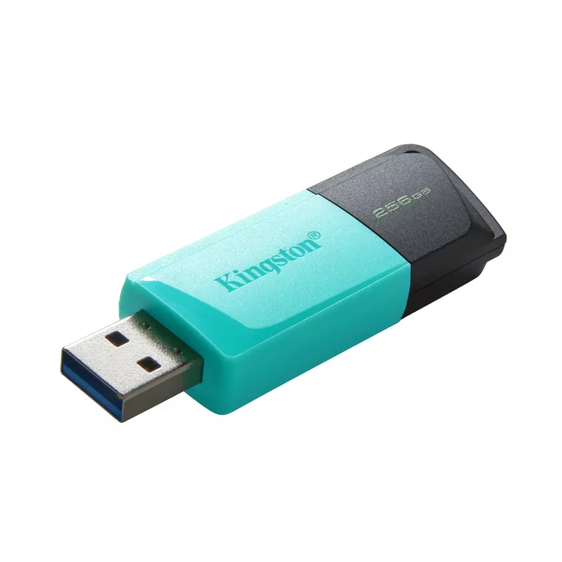 Kingston Technology DataTraveler 256GB USB3.2 Gen1 Exodia M (čierna + tyrkysová)