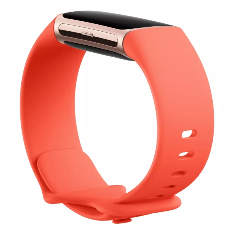 Fitbit Charge 6 Obsidian / Black hliník