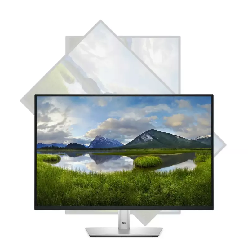 DELL Pro Plus P2425 počítačový monitor 61,1 cm (24,1