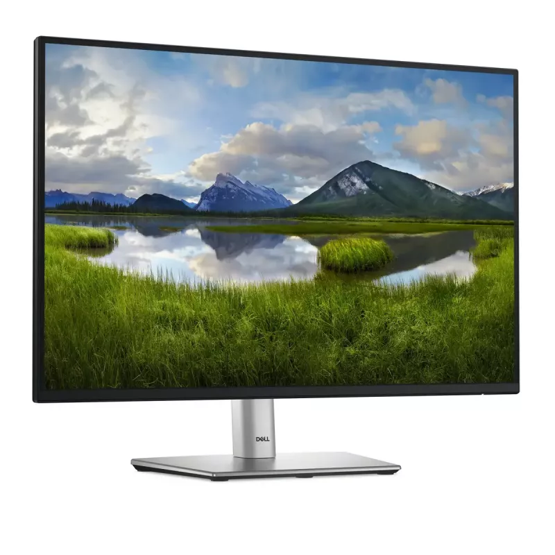 DELL Pro Plus P2425 počítačový monitor 61,1 cm (24,1