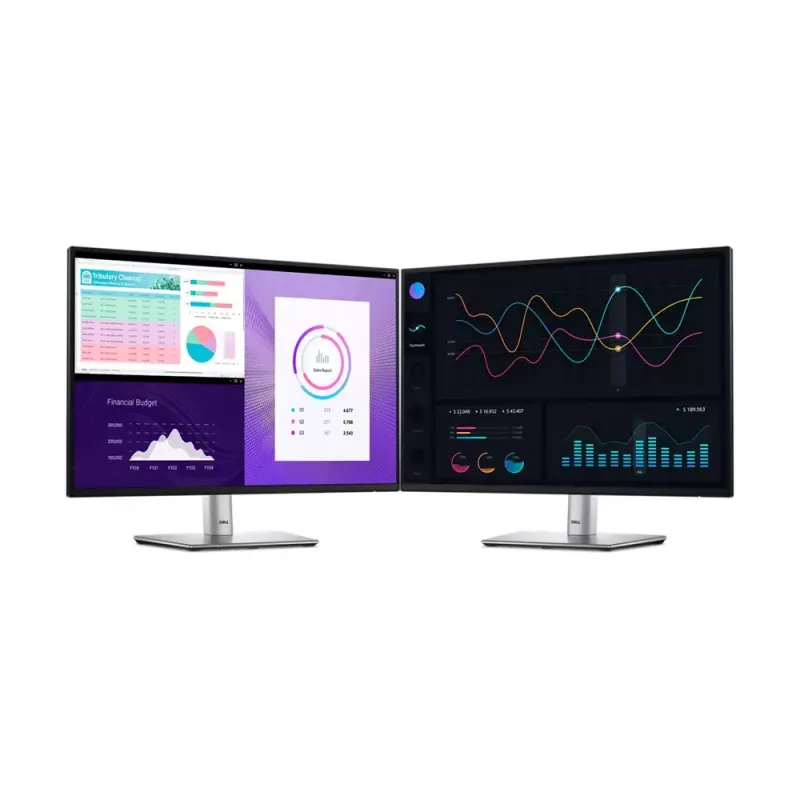 DELL Pro Plus P2425 počítačový monitor 61,1 cm (24,1