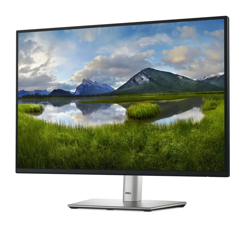 DELL Pro Plus P2425E počítačový monitor 61,1 cm (24,1