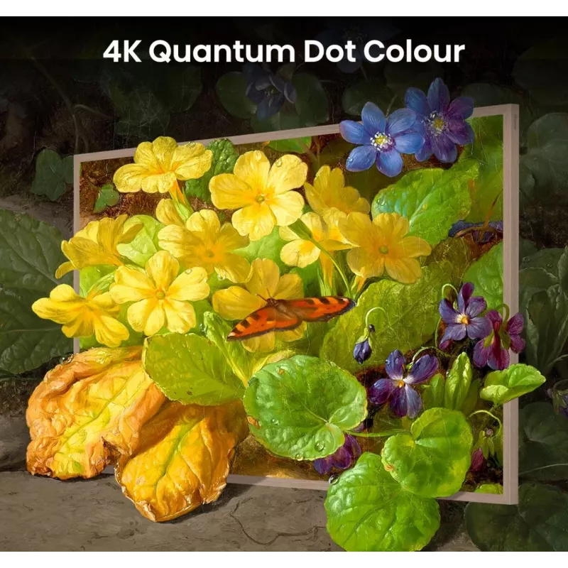 Hisense 55 inch S7NQTUK Canvas TV s Freely & ArtMode