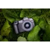 Canon EOS R8, 24,2 MP, 6000 x 4000 pixelov, CMOS, 4K Ultra HD, dotyková obrazovka, čierny