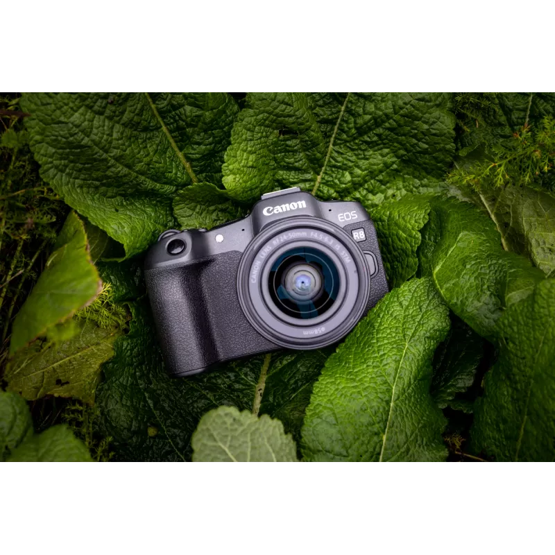 Canon EOS R8, 24,2 MP, 6000 x 4000 pixelov, CMOS, 4K Ultra HD, dotyková obrazovka, čierny