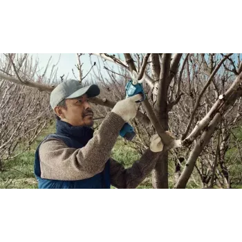 Bosch Pro Pruner Professional akumulátorové nožnice na trávu 2,5 cm 12 V lítium-iónová (Li-Ion) modrá