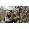 Bosch Pro Pruner Professional akumulátorové nožnice na trávu 2,5 cm 12 V lítium-iónová (Li-Ion) modrá