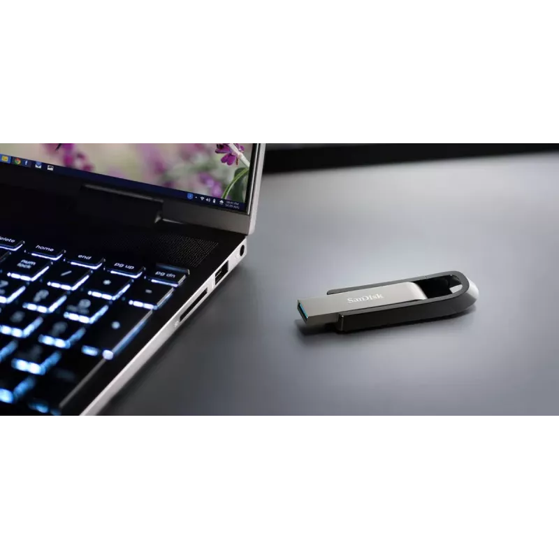 WESTERN DIGITAL SanDisk Ultra Extreme GO - 256GB USB kľúč - USB 3.2