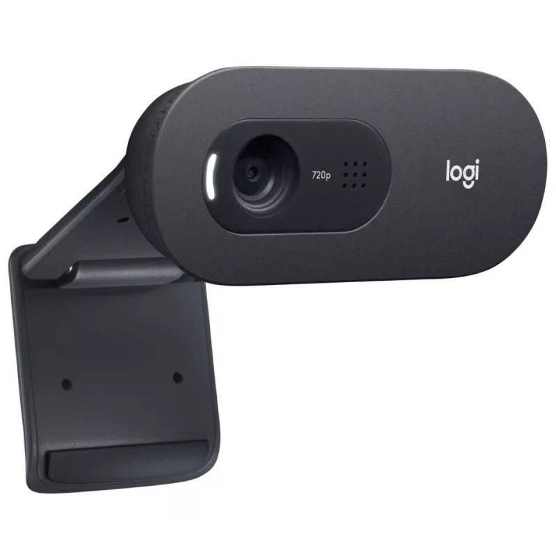 LOGITECH C505e webkamera USB čierna