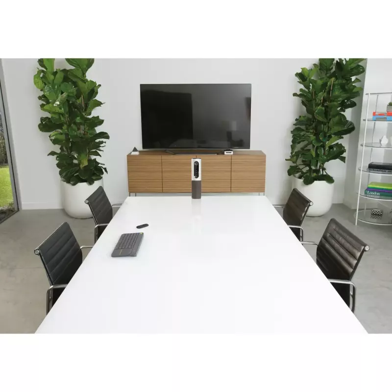 LOGITECH Conferencecam Connect All-in-One videokonferenčný strieborný