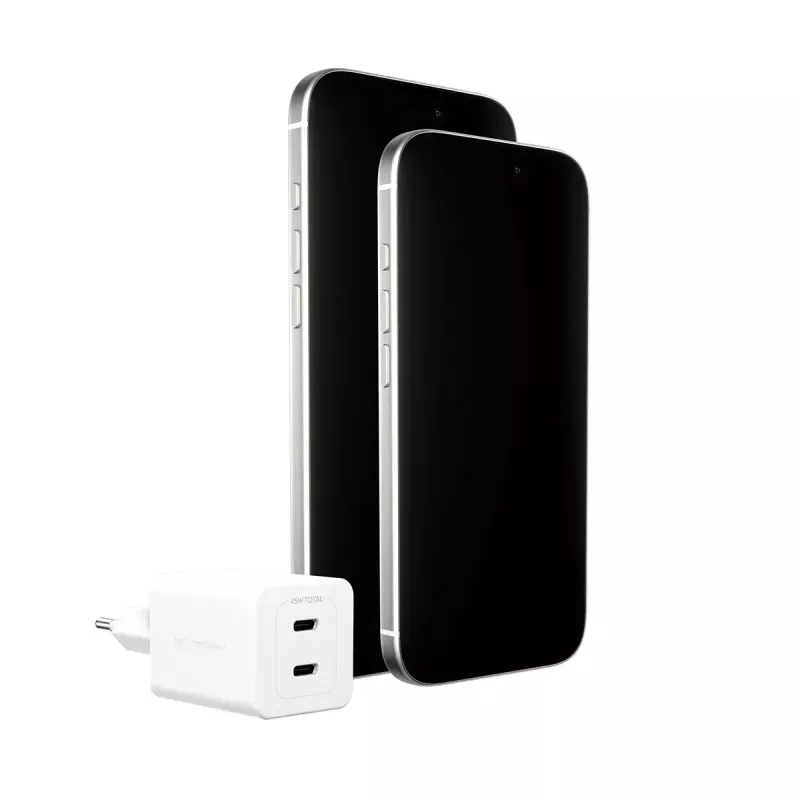 PanzerGlass empower™ by ® Turbo 45W nabíjačka vrátane 2 x USB-C | EU Plug | Silver White