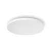 Philips Hue White and colour ambience Datura stropné svietidlo veľké