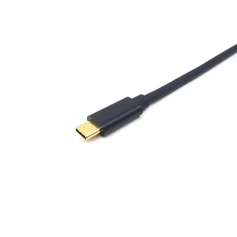 Equip USB-C na DisplayPort kábel, konektor samec/konektor samec, 2,0 m, 4K/60Hz