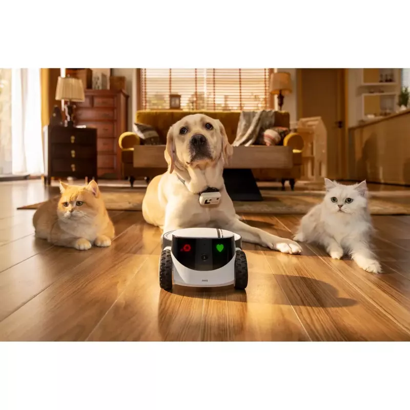 Bezpečnostná kamera Enabot Family Robot IP kamera ROLA PetPal WH287304