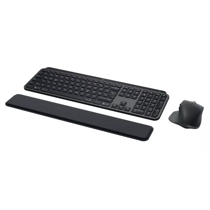 LOGITECH MX Keys Combo For Business Gen 2 - grafitová - Qwertz - nemecká