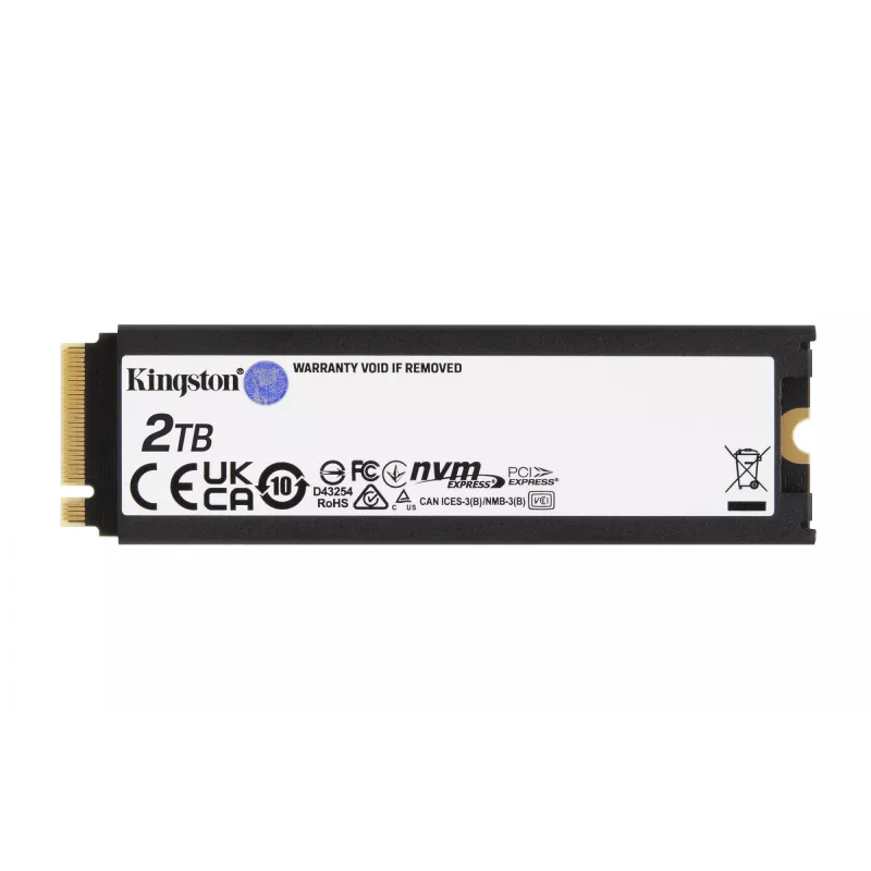 Kingston Technology 2000G RENEGADE PCIe 4.0 NVMe SSD s chladičom