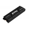 Kingston Technology 2000G RENEGADE PCIe 4.0 NVMe SSD s chladičom