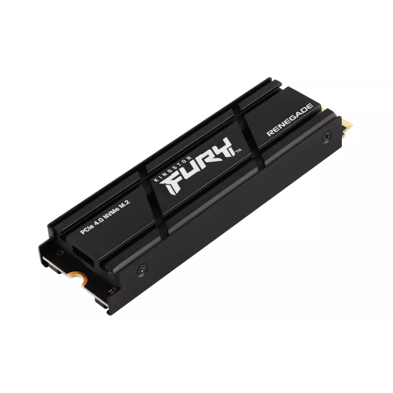 Kingston Technology 2000G RENEGADE PCIe 4.0 NVMe SSD s chladičom