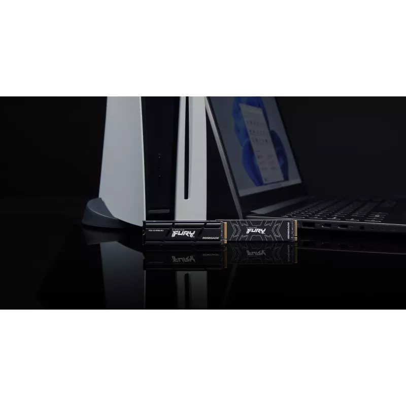 Kingston Technology 2000G RENEGADE PCIe 4.0 NVMe SSD s chladičom